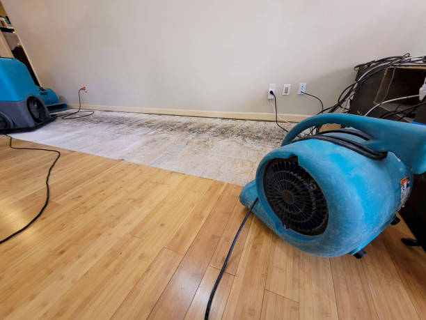 Professional Structural Drying technician working in High Bridge, WA